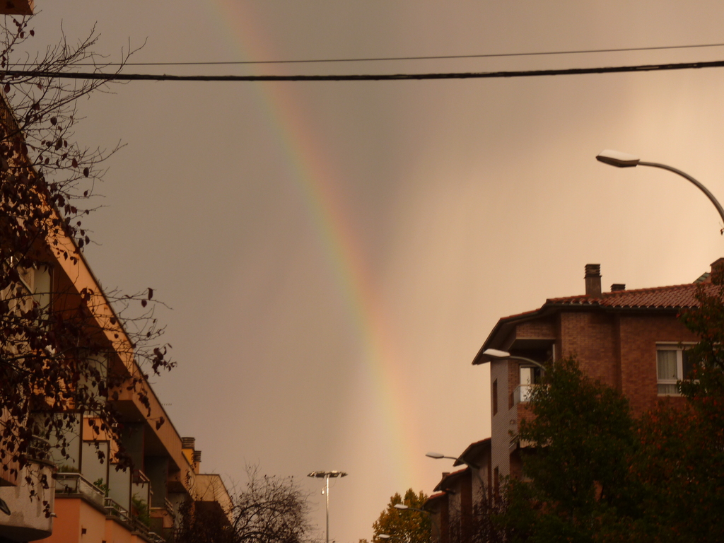 No s'ha trobat l'arxiu